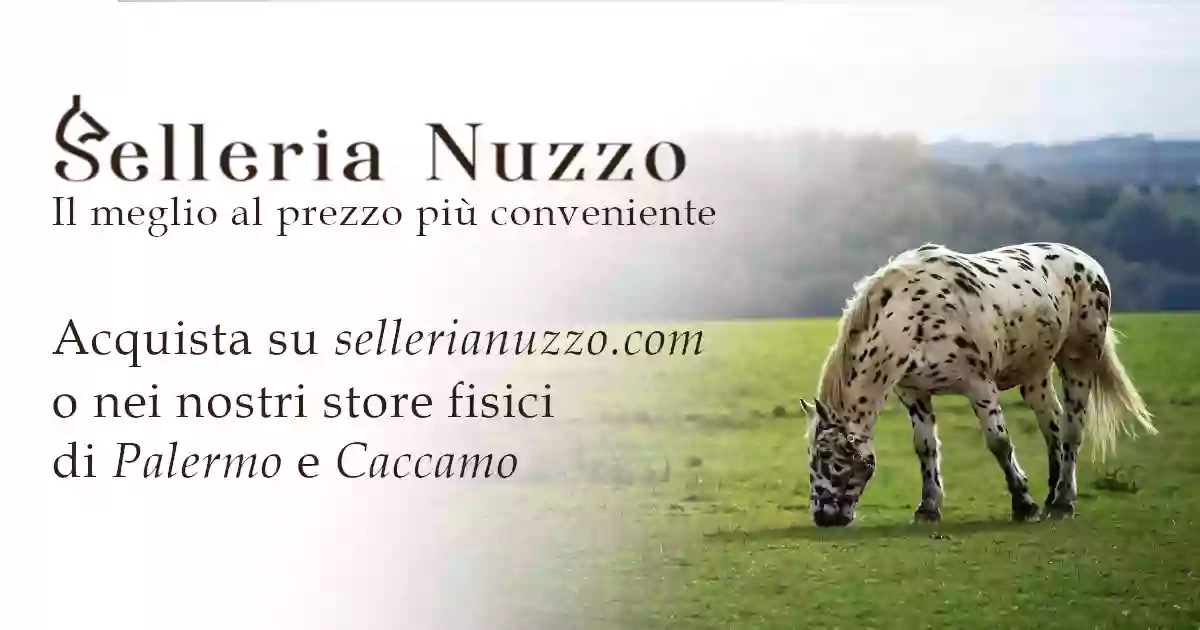 Selleria Nuzzo - Caccamo (PA) - Negozio di Articoli per l'Equitazione. Selleria Nuzzo - Caccamo (PA) - Negozio di Articoli per l'Equitazione.