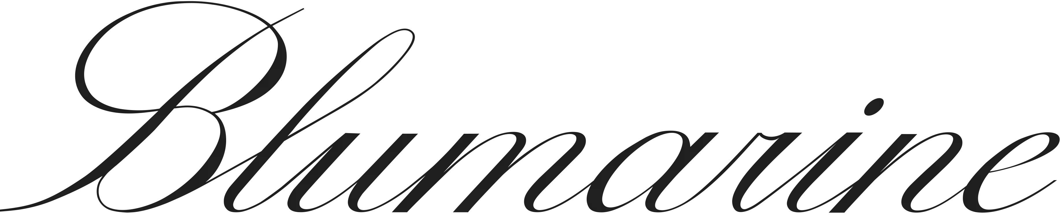 Blumarine Blumarine