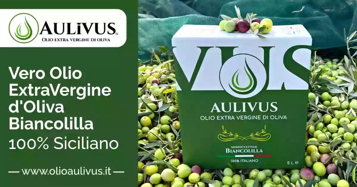Olio Aulivus Olio Aulivus