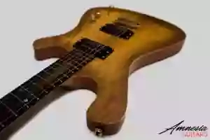 Amnesia Guitars Amnesia Guitars
