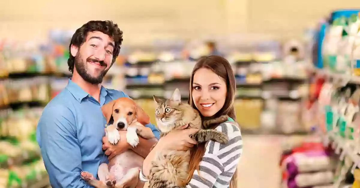 Dog&Cat - Crevalcore Dog&Cat - Crevalcore