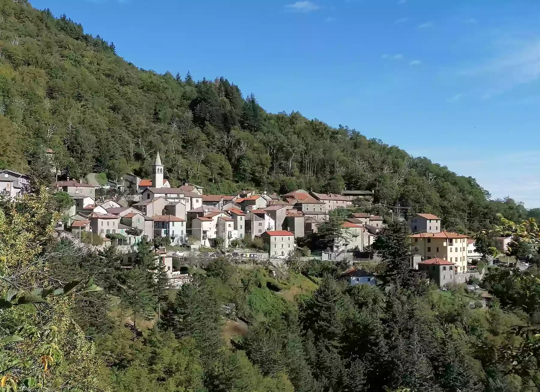 Proloco del paese Proloco del paese