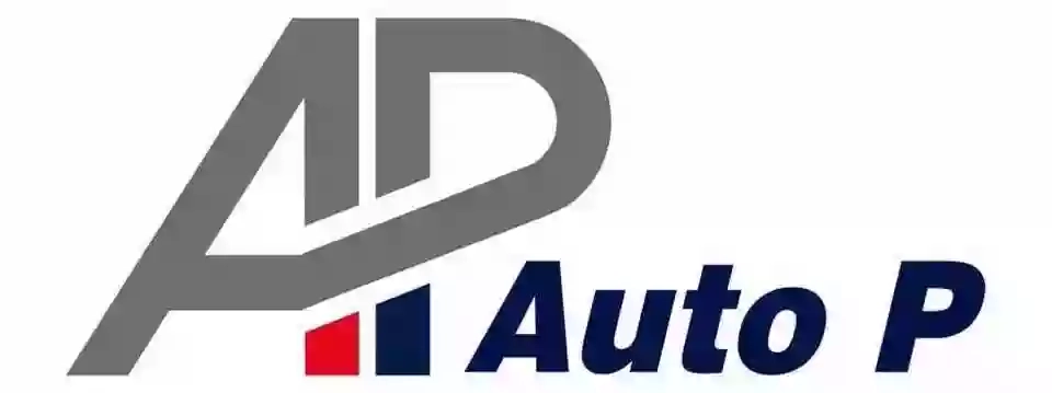 Auto P Service S.R.L. Auto P Service S.R.L.