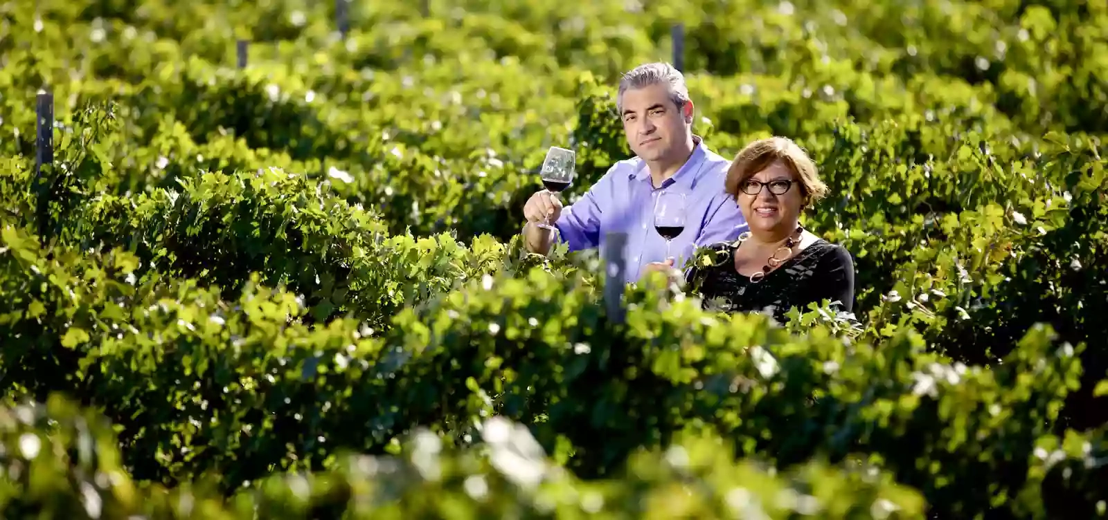 Maggio Vini Maggio Vini