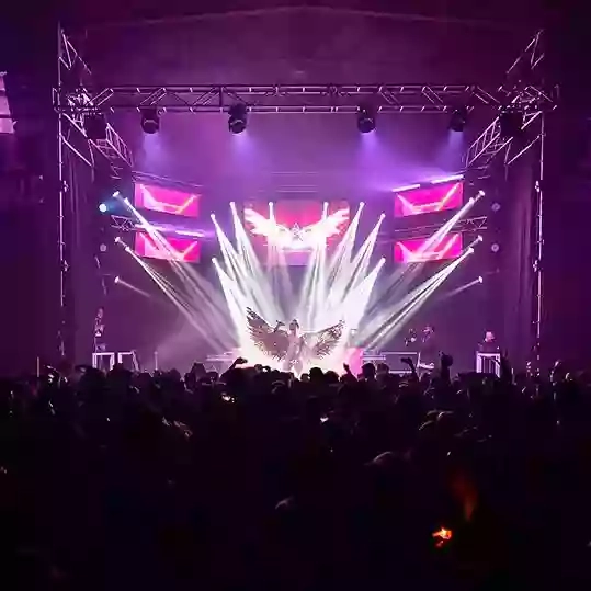 Molocinque Molocinque