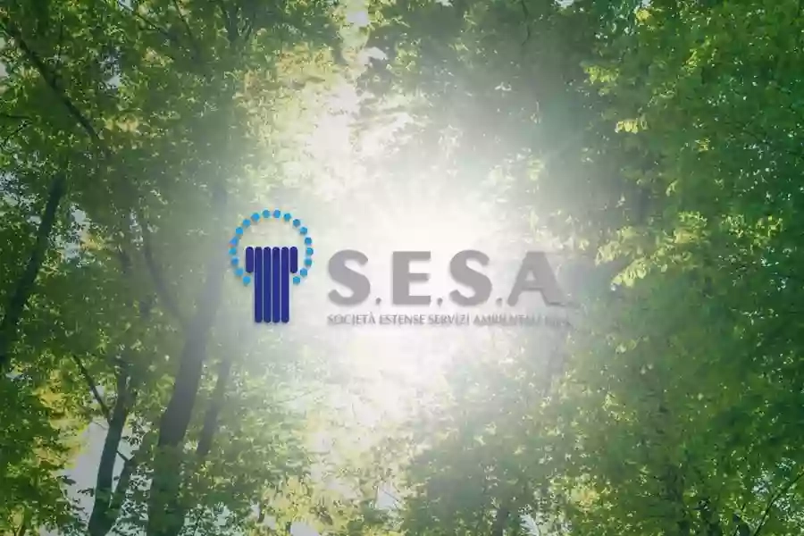 Sesa S.r.l. Sesa S.r.l.