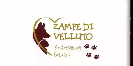 ZAMPE DI VELLUTO ZAMPE DI VELLUTO