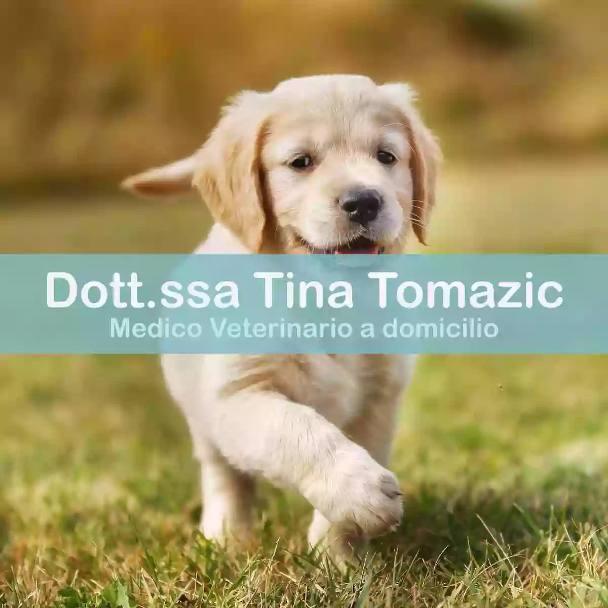 Veterinario a domicilio Dott.ssa Tina Tomazic Veterinario a domicilio Dott.ssa Tina Tomazic