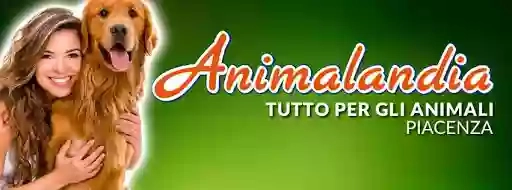 Animalandia Piacenza Animalandia Piacenza