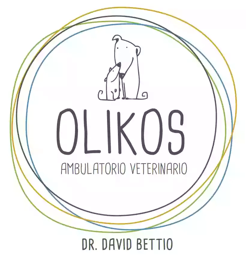 Dr. David Bettio