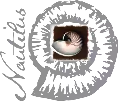 Nautilus centro estetico Nautilus centro estetico