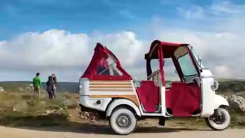 ape nei sassi ape nei sassi