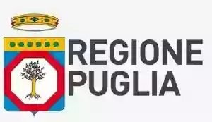 Salento Formazione srl Salento Formazione srl