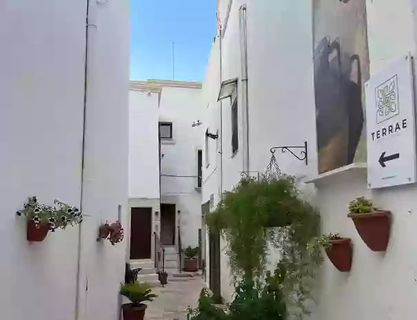 Terrae B&B Mesagne Terrae B&B Mesagne