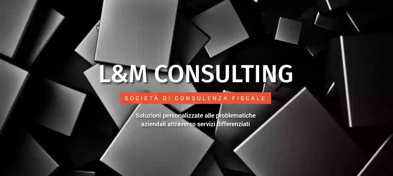 L&M Consulting L&M Consulting