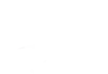 EDEN EDEN