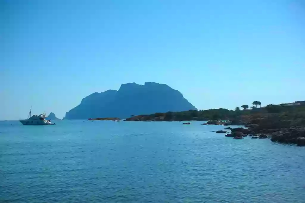 Magical Viaggi Magical Viaggi