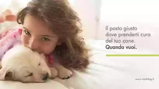 Wash Dog Wash Dog