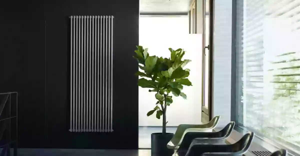 Zehnder Zehnder