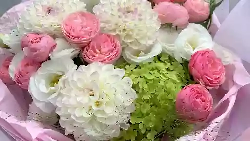 VALENTINKA VALENTINKA