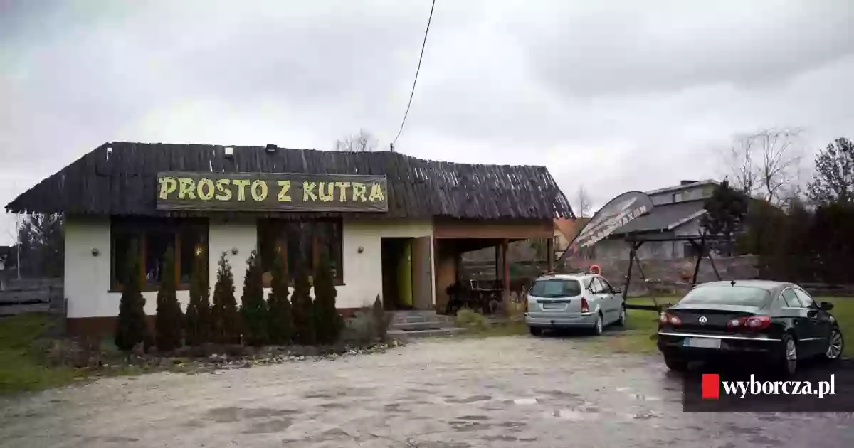Prosto z kutra Prosto z kutra