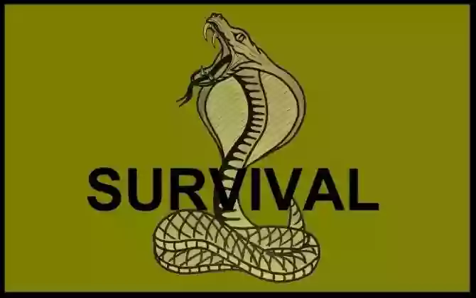 Survival Survival