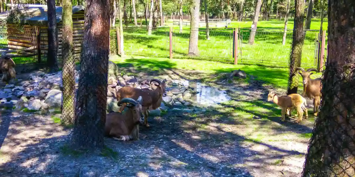 Mini ZOO Mini ZOO