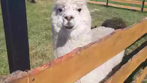 Alpa Ranczo Alpa Ranczo