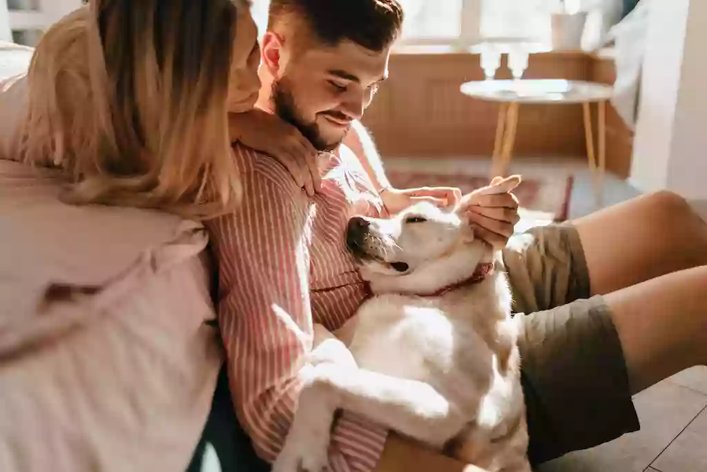 CBD Vets Australia CBD Vets Australia