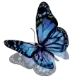 Psychrespect Psychrespect