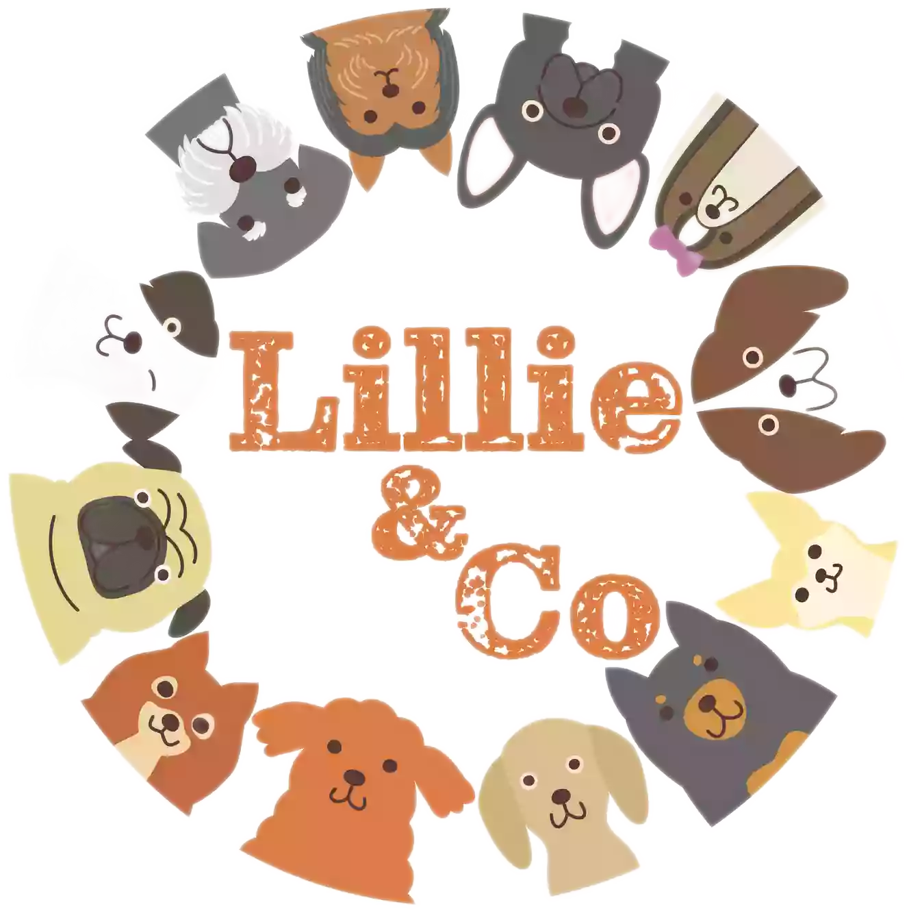 Lillie&Co Lillie&Co