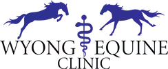 Wyong Equine Clinic Wyong Equine Clinic