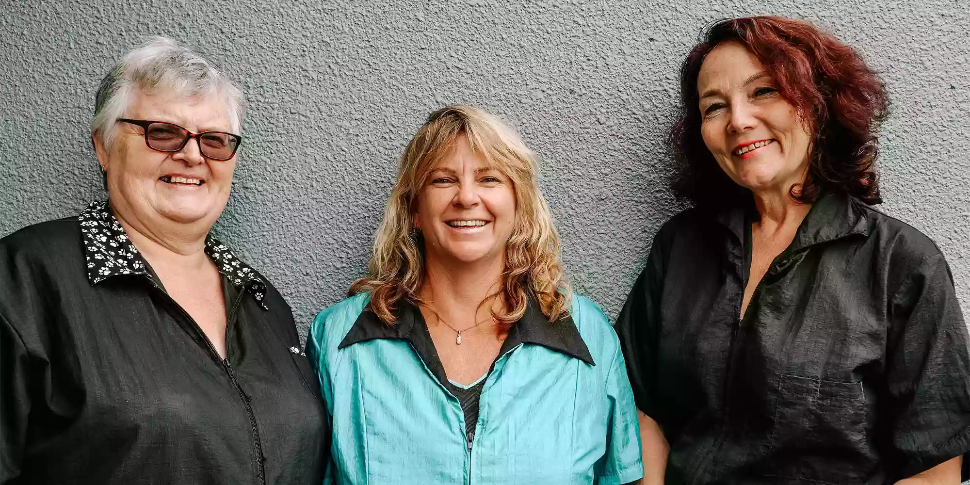 K9 Groomers Orewa K9 Groomers Orewa