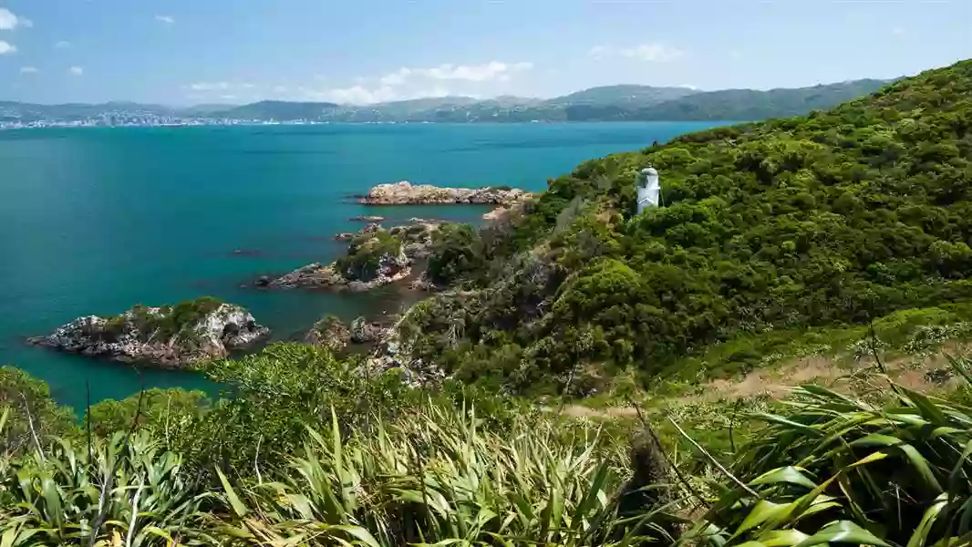 Matiu/Somes Island Matiu/Somes Island