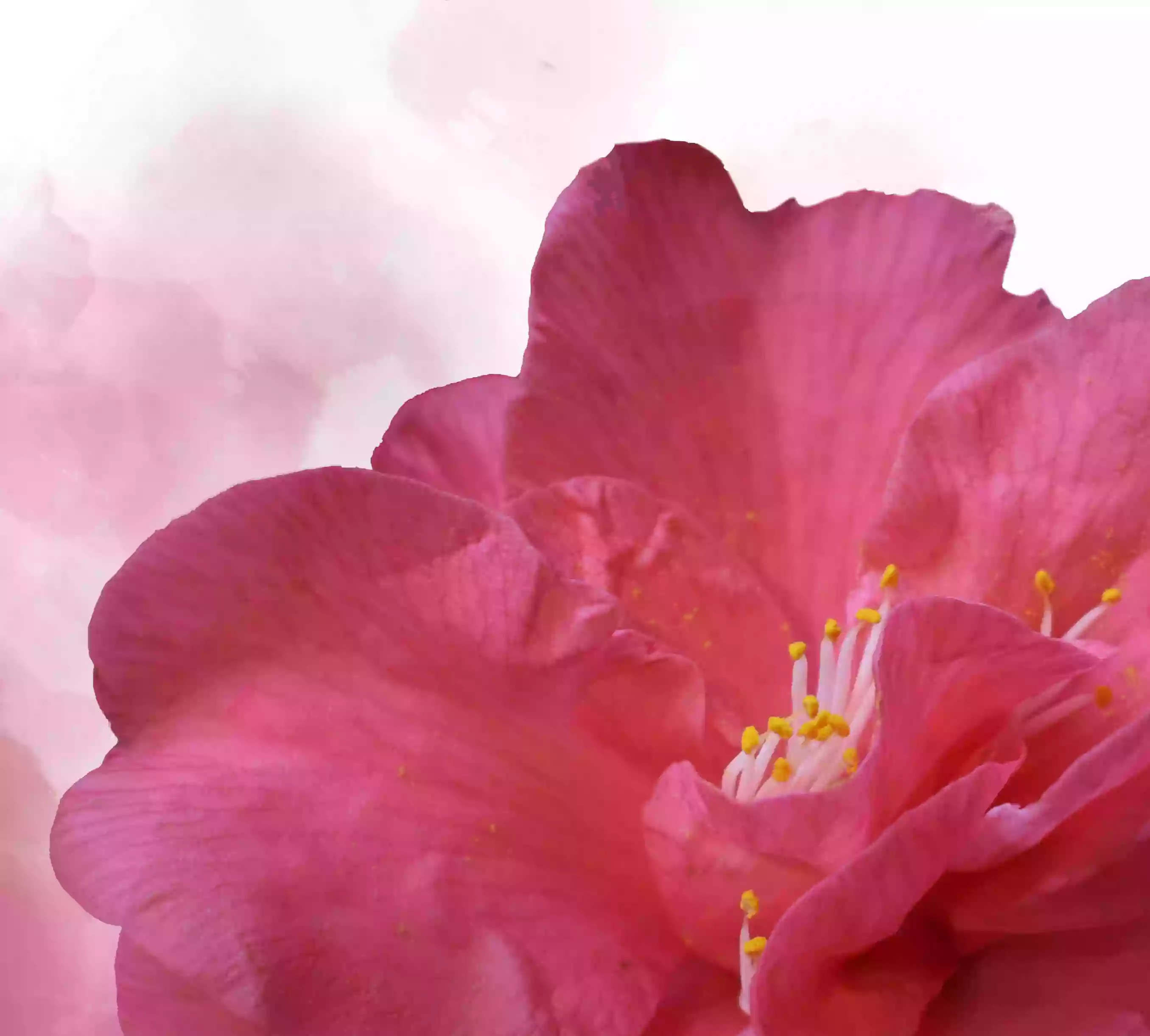 Art Classes; Qualified Teaching.. Art Classes; Qualified Teaching..