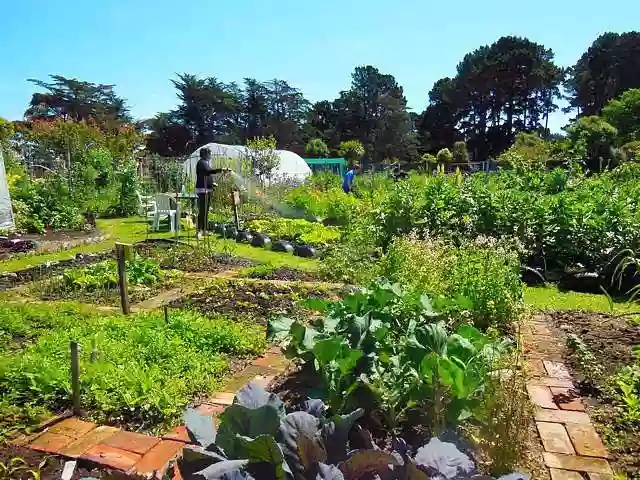 Canterbury Permaculture Institute Canterbury Permaculture Institute