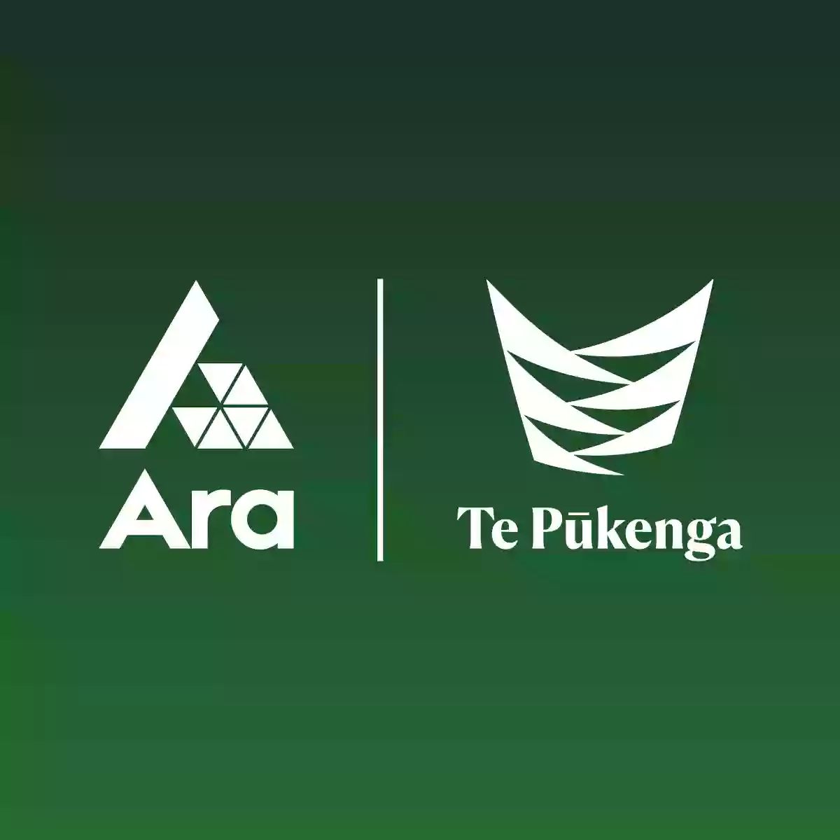 Ara Sustainability and Outdoor Education Ara Sustainability and Outdoor Education