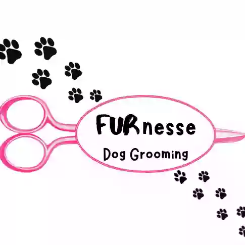 Furnesse Dog Grooming Furnesse Dog Grooming