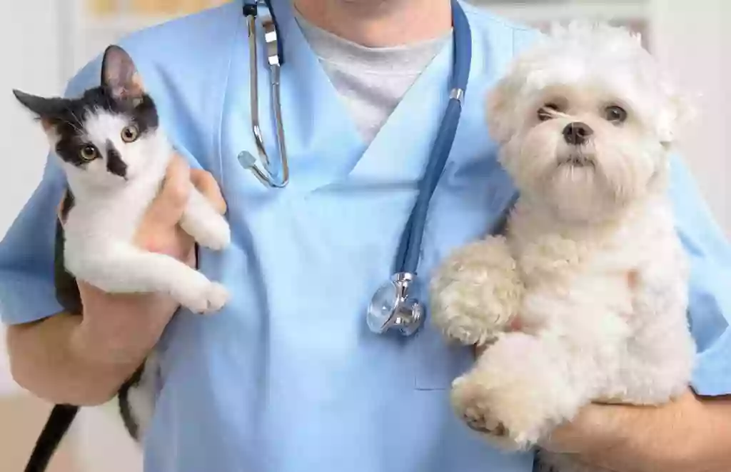 Gribbles Veterinary Gribbles Veterinary