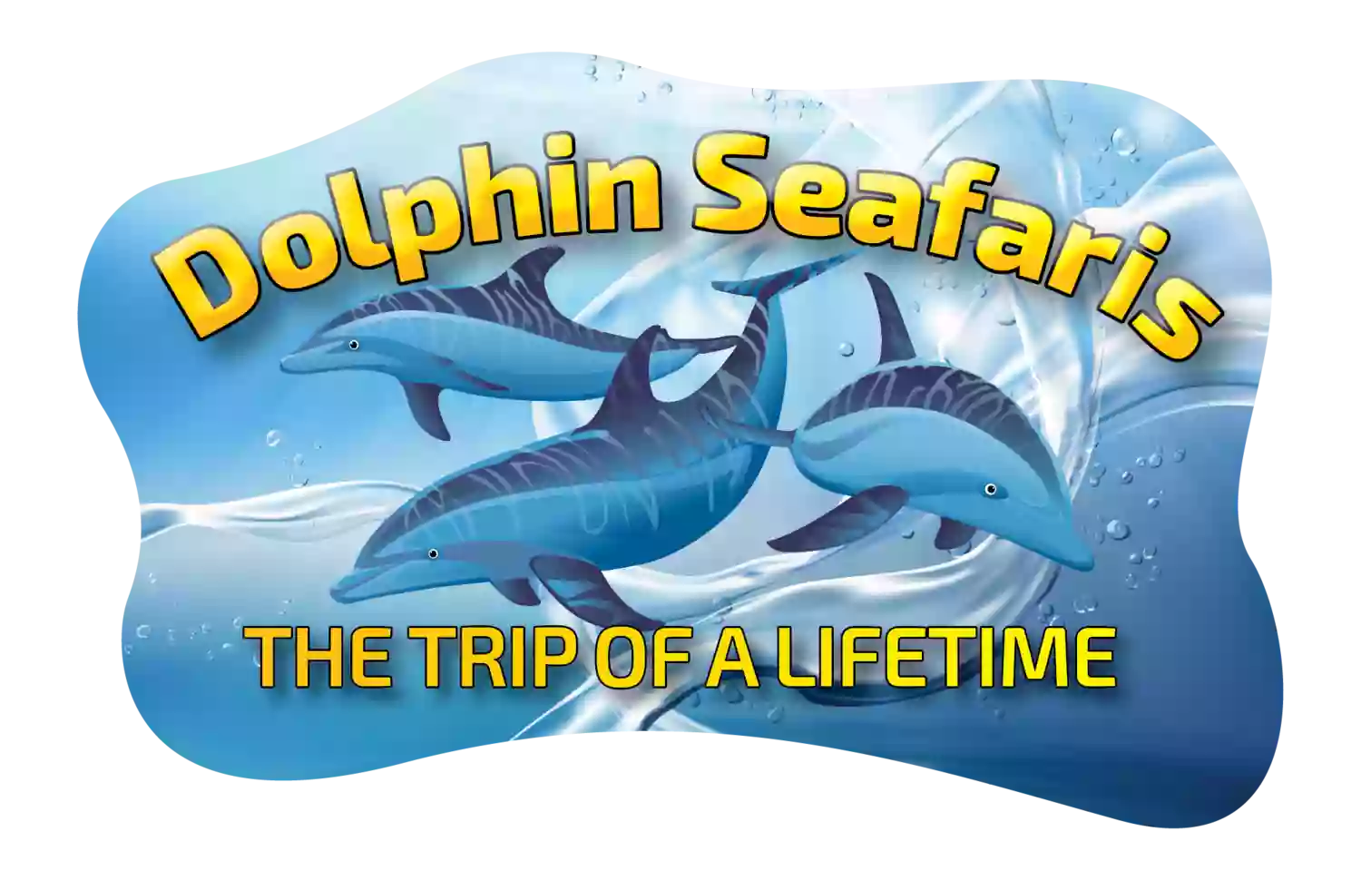Dolphin Seafaris NZ Dolphin Seafaris NZ