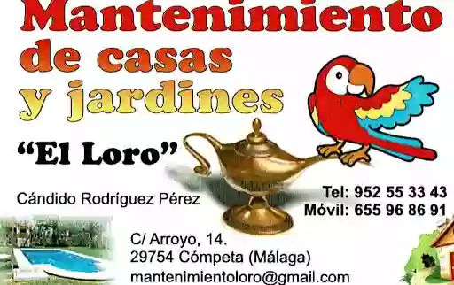 Mantenimiento El Loro Mantenimiento El Loro