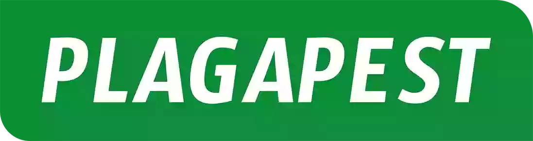 Plagapest.com Plagapest.com