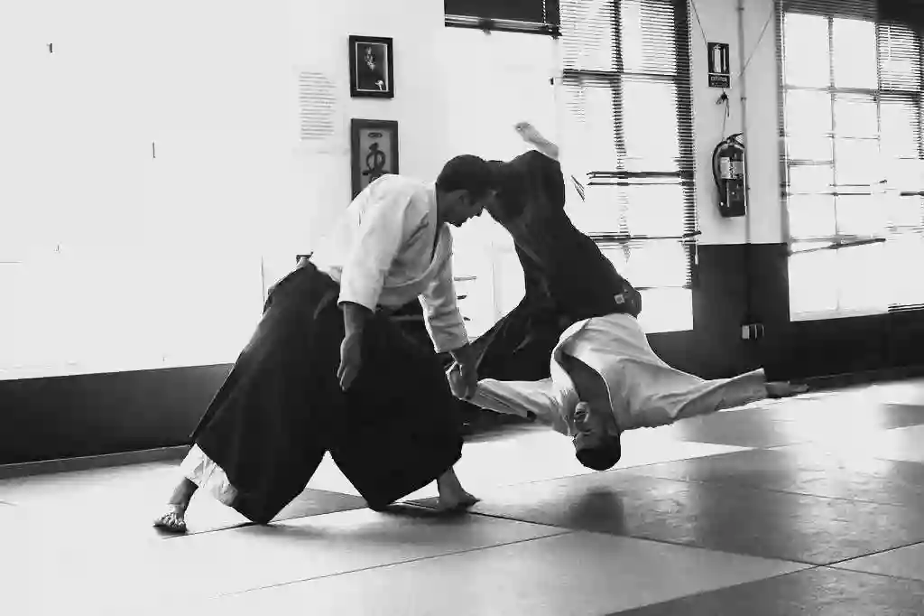 Heijoshin Aikido Heijoshin Aikido