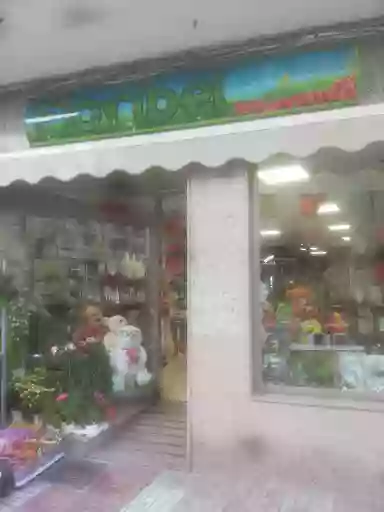 Floribel floristas Floribel floristas