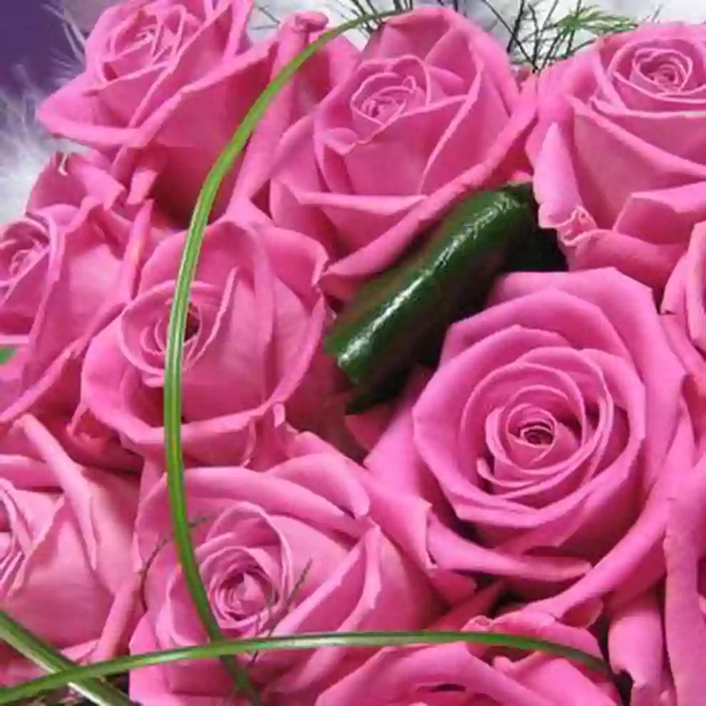 Bouquet Flores y Plantas Bouquet Flores y Plantas