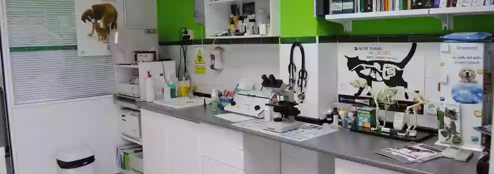 Sa Indioteria Clinica Veterinaria Sa Indioteria Clinica Veterinaria