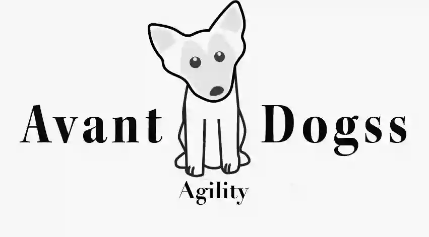 Agility Lomo Salas Agility Lomo Salas