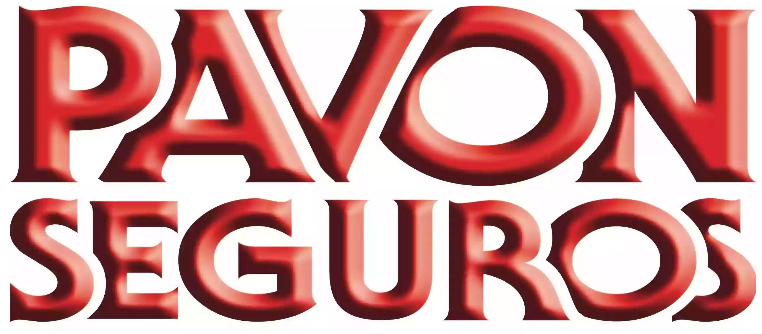 Pavon Seguros Pavon Seguros