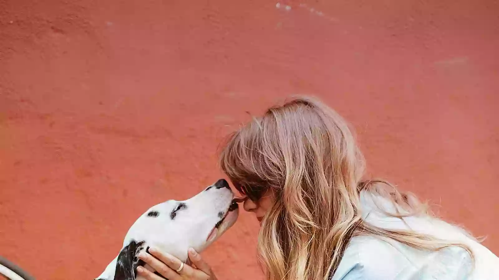 Lavakan | Spa per mascotes Lavakan | Spa per mascotes