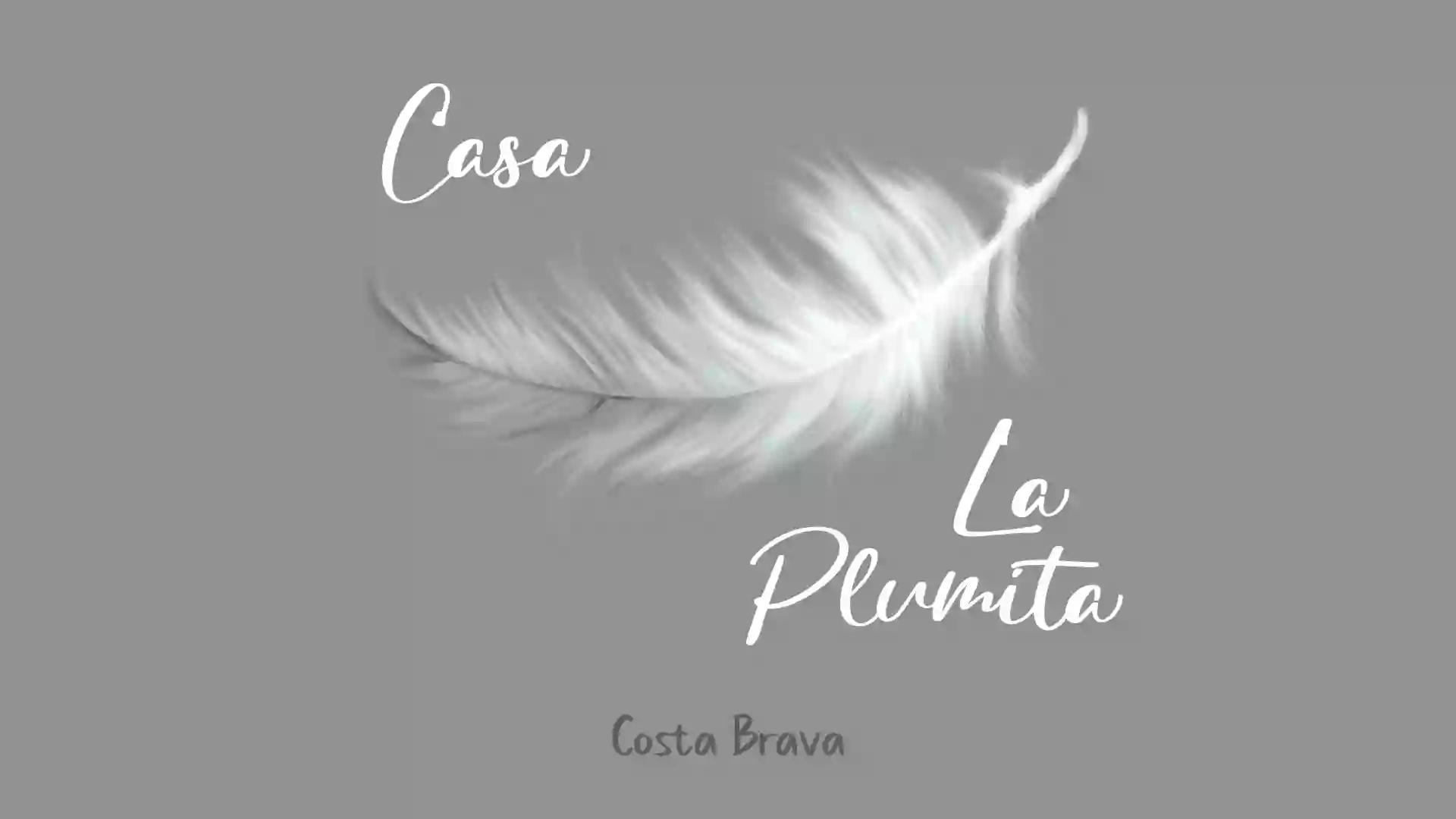 casa la plumita casa la plumita